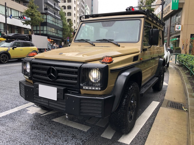 Mercedes-Benz G350d Professional