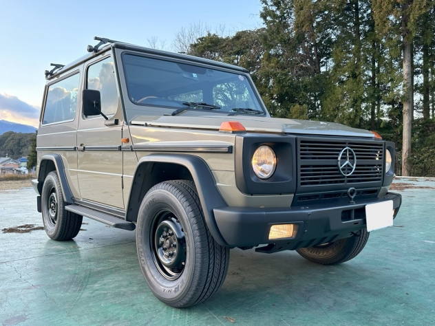 Mercedes-Benz Gelandewagen 300GE